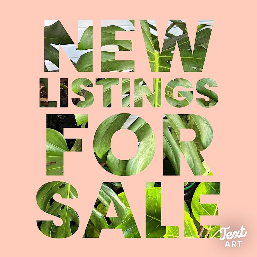 New items listed! - Picture 8 of 16